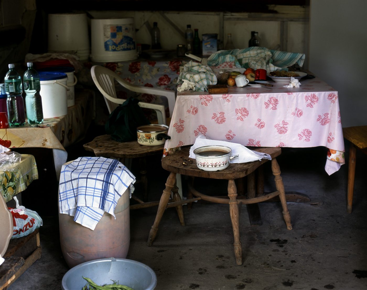 Flowers are still growing