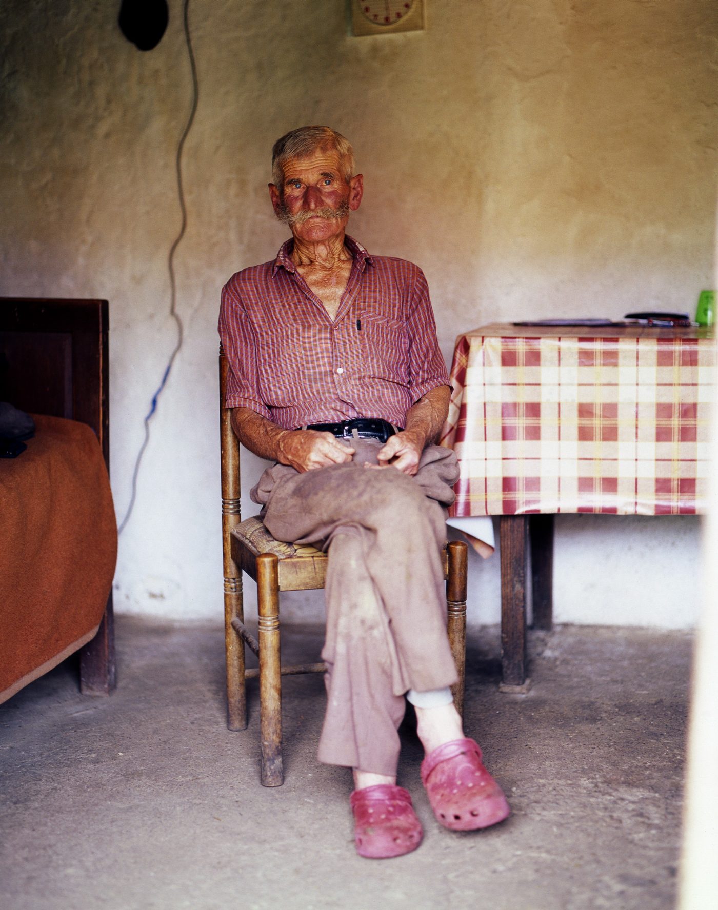 Flowers are still growing