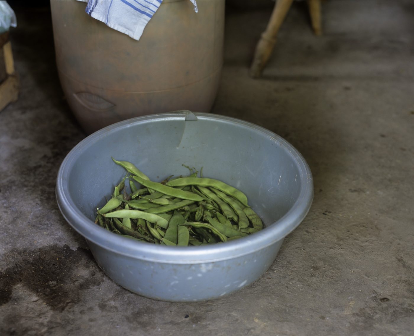 Flowers are still growing