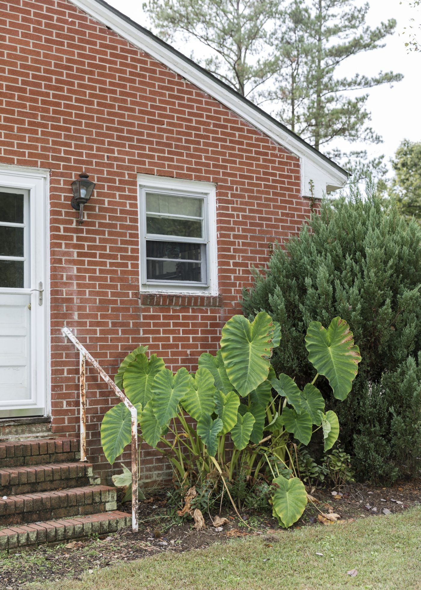 Untitled (house of Allen Badders)