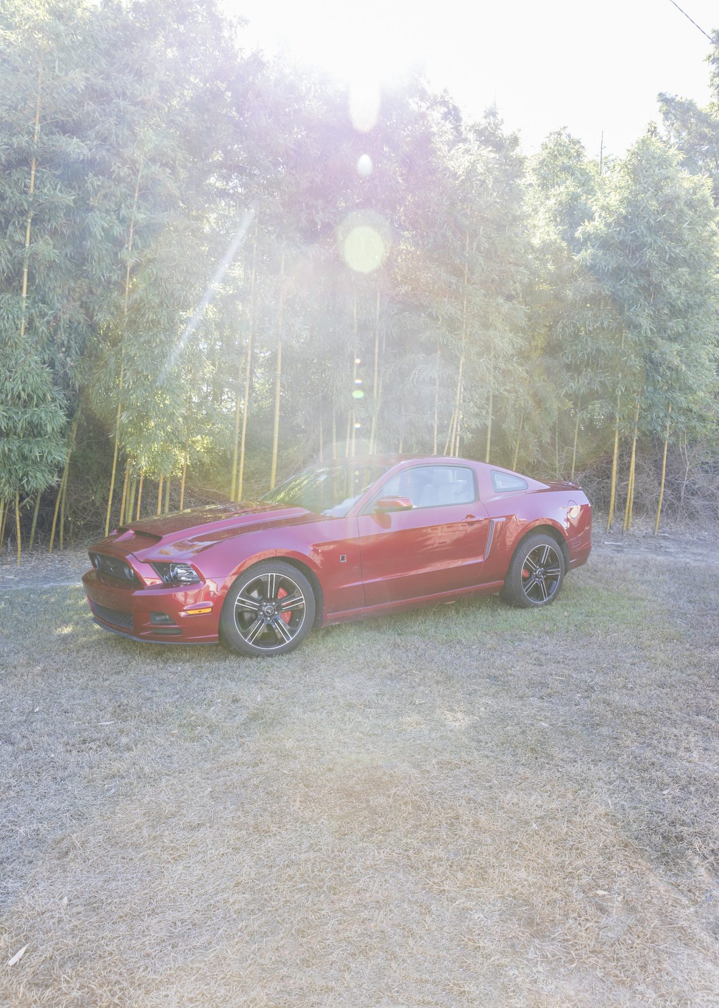 Untitled (Mustang of Juan Quintanilla)