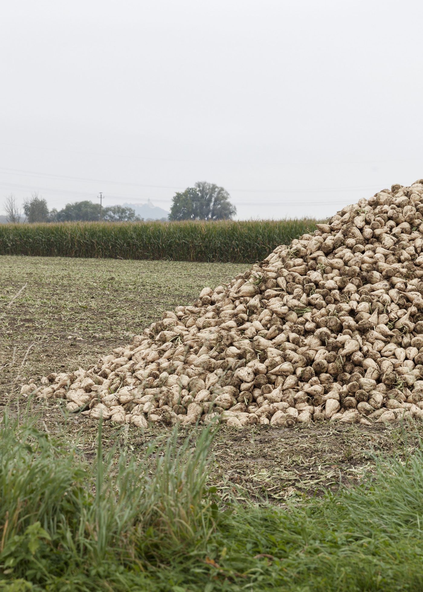 Straubing in Bayern I