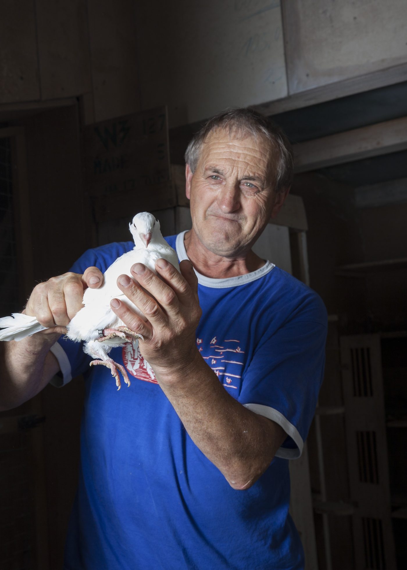 Wolfgang Paulus - Mittelfels