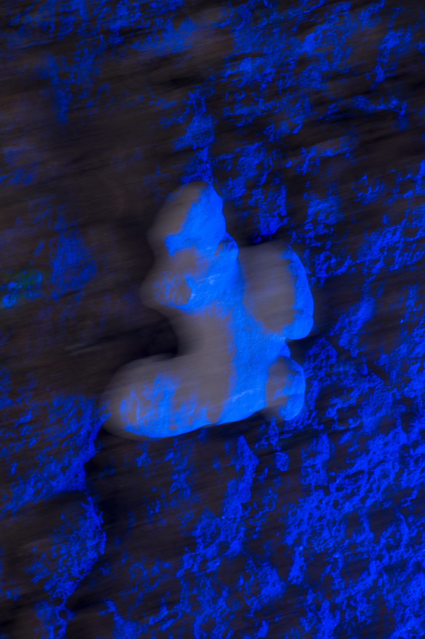 Ice doll, Ice dolls 2025